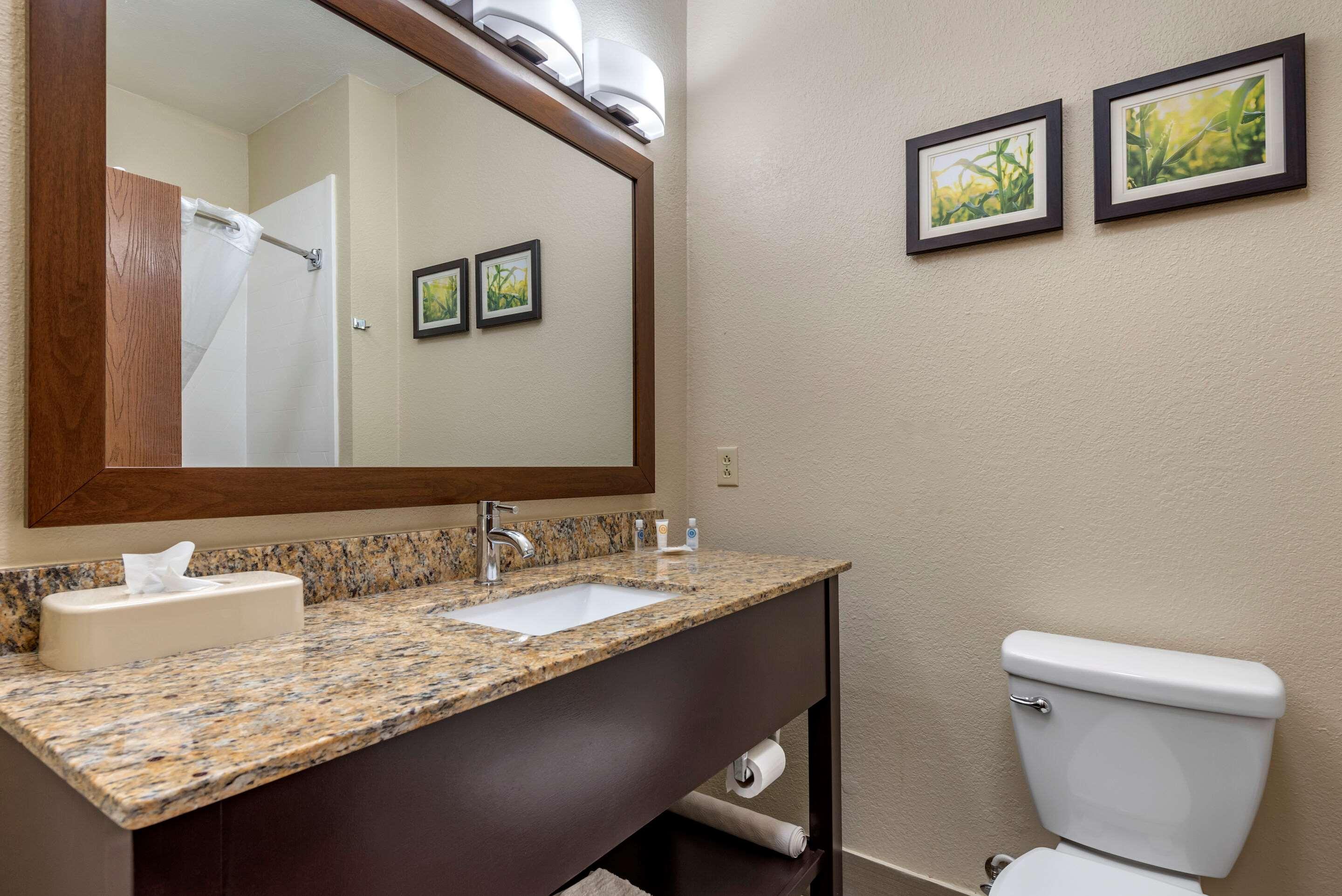 Comfort Suites Auburn Near I-69 Εξωτερικό φωτογραφία